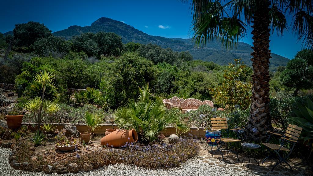 Finca Sonrisa Alhaurín el Grande Extérieur photo